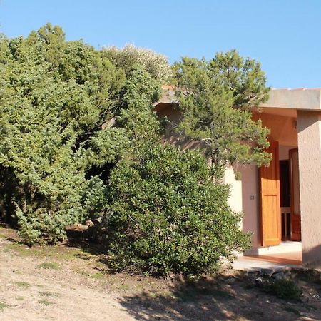 Rena Garden Apartments Santa Teresa Gallura Exterior photo